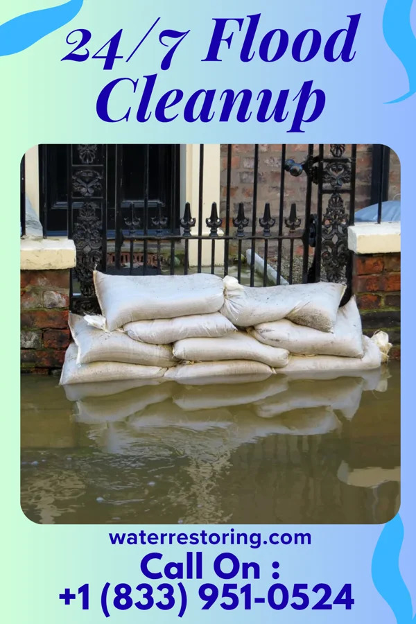 24/7 Flood Cleanup in Ely, MN