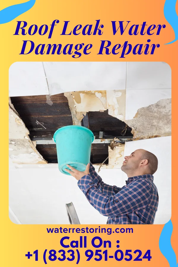 Roof Leak Water Damage Repair in Ely, MN