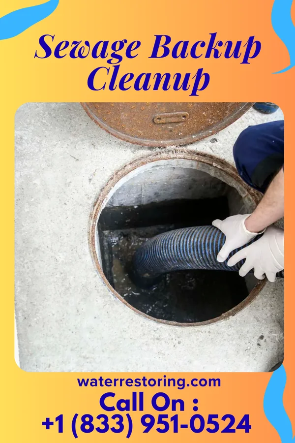 Sewage Backup Cleanup in Ely, MN